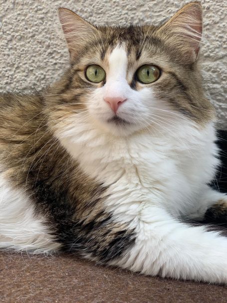 Mia